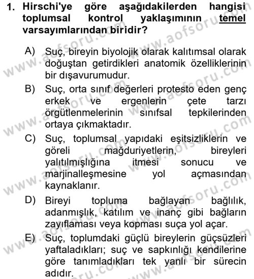 Suç Sosyolojisi Dersi 2017 - 2018 Yılı 3 Ders Sınav Soruları 1. Soru