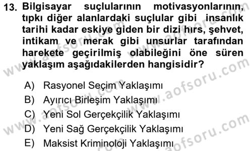 Suç Sosyolojisi Dersi 2017 - 2018 Yılı 3 Ders Sınav Soruları 13. Soru