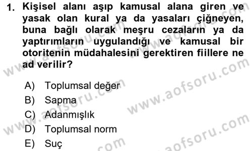 Suç Sosyolojisi Dersi 2017 - 2018 Yılı (Vize) Ara Sınav Soruları 1. Soru