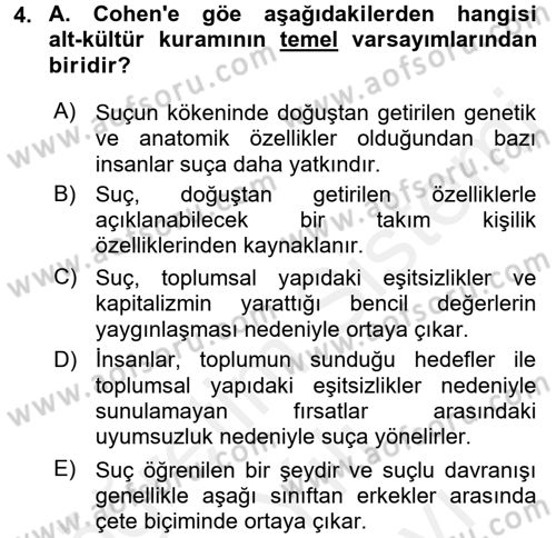 Suç Sosyolojisi Dersi 2017 - 2018 Yılı (Vize) Ara Sınav Soruları 4. Soru