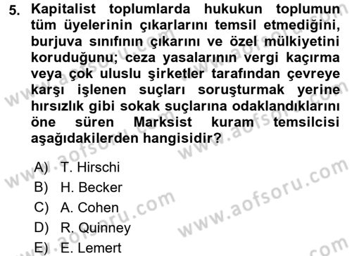 Suç Sosyolojisi Dersi 2017 - 2018 Yılı (Vize) Ara Sınav Soruları 5. Soru