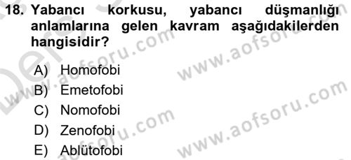 Suç Sosyolojisi Dersi 2018 - 2019 Yılı 3 Ders Sınav Soruları 18. Soru
