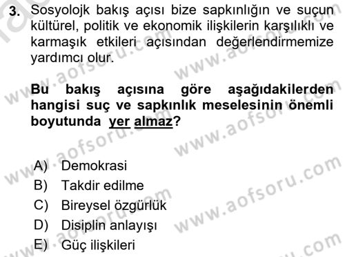 Suç Sosyolojisi Dersi 2018 - 2019 Yılı 3 Ders Sınav Soruları 3. Soru