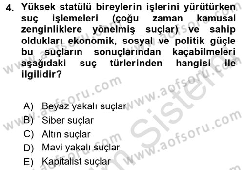 Suç Sosyolojisi Dersi 2018 - 2019 Yılı 3 Ders Sınav Soruları 4. Soru