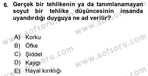 Suç Sosyolojisi Dersi 2018 - 2019 Yılı 3 Ders Sınav Soruları 6. Soru