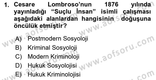 Suç Sosyolojisi Dersi 2018 - 2019 Yılı (Vize) Ara Sınav Soruları 1. Soru