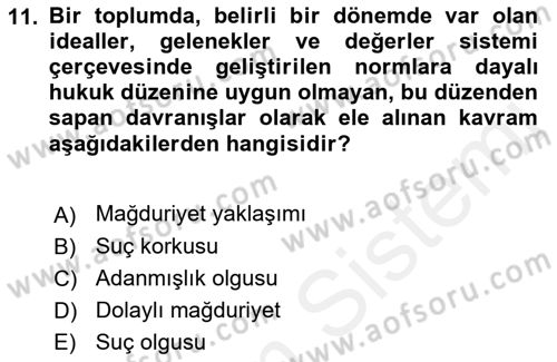 Suç Sosyolojisi Dersi 2018 - 2019 Yılı (Vize) Ara Sınav Soruları 11. Soru