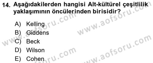 Suç Sosyolojisi Dersi 2018 - 2019 Yılı (Vize) Ara Sınav Soruları 14. Soru