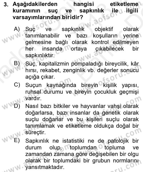 Suç Sosyolojisi Dersi 2018 - 2019 Yılı (Vize) Ara Sınav Soruları 3. Soru