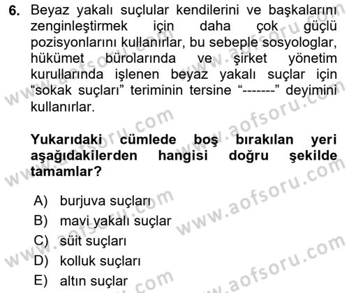 Suç Sosyolojisi Dersi 2018 - 2019 Yılı (Vize) Ara Sınav Soruları 6. Soru