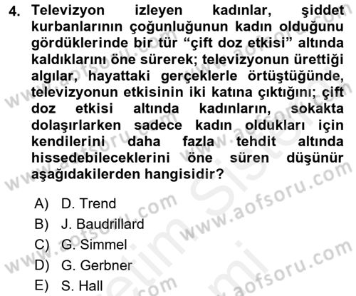 Suç Sosyolojisi Dersi 2018 - 2019 Yılı (Final) Dönem Sonu Sınav Soruları 4. Soru