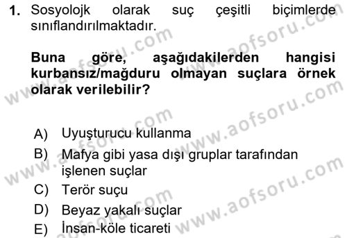 Suç Sosyolojisi Dersi 2018 - 2019 Yılı Yaz Okulu Sınav Soruları 1. Soru