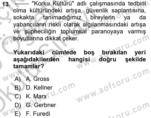 Suç Sosyolojisi Dersi 2018 - 2019 Yılı Yaz Okulu Sınav Soruları 13. Soru