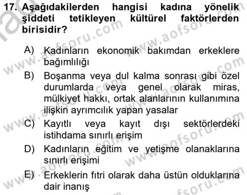 Suç Sosyolojisi Dersi 2018 - 2019 Yılı Yaz Okulu Sınav Soruları 17. Soru