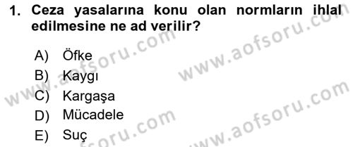Suç Sosyolojisi Dersi 2020 - 2021 Yılı Yaz Okulu Sınav Soruları 1. Soru