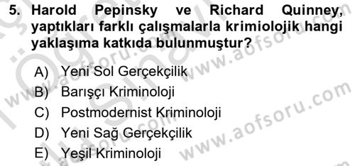 Suç Sosyolojisi Dersi 2020 - 2021 Yılı Yaz Okulu Sınav Soruları 5. Soru