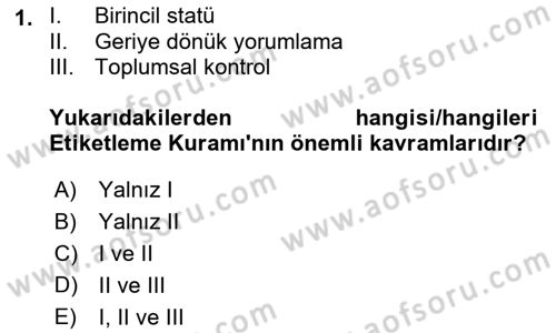 Suç Sosyolojisi Dersi 2021 - 2022 Yılı (Vize) Ara Sınav Soruları 1. Soru