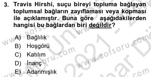 Suç Sosyolojisi Dersi 2021 - 2022 Yılı (Vize) Ara Sınav Soruları 3. Soru