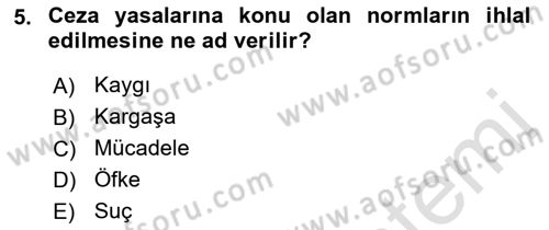 Suç Sosyolojisi Dersi 2021 - 2022 Yılı (Vize) Ara Sınav Soruları 5. Soru