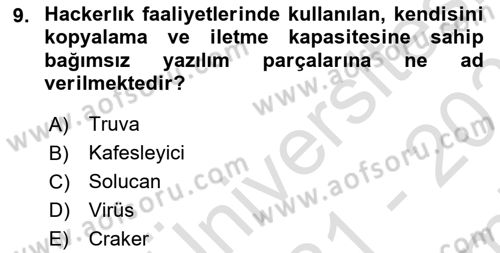 Suç Sosyolojisi Dersi 2021 - 2022 Yılı (Final) Dönem Sonu Sınav Soruları 9. Soru
