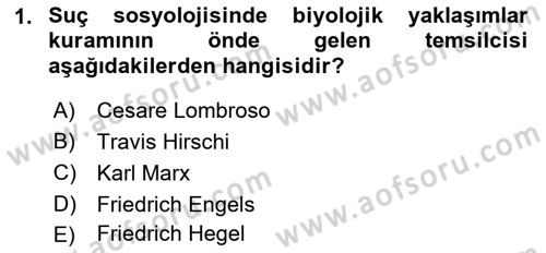 Suç Sosyolojisi Dersi 2021 - 2022 Yılı Yaz Okulu Sınav Soruları 1. Soru