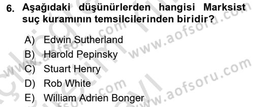 Suç Sosyolojisi Dersi 2021 - 2022 Yılı Yaz Okulu Sınav Soruları 6. Soru