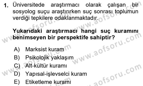 Suç Sosyolojisi Dersi 2022 - 2023 Yılı Yaz Okulu Sınav Soruları 1. Soru