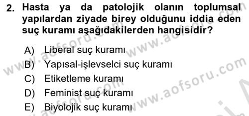 Suç Sosyolojisi Dersi 2022 - 2023 Yılı Yaz Okulu Sınav Soruları 2. Soru