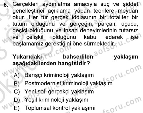 Suç Sosyolojisi Dersi 2022 - 2023 Yılı Yaz Okulu Sınav Soruları 6. Soru