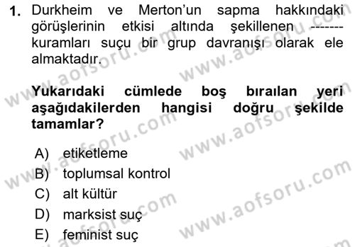 Suç Sosyolojisi Dersi 2023 - 2024 Yılı (Vize) Ara Sınav Soruları 1. Soru