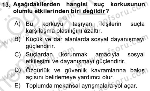Suç Sosyolojisi Dersi 2023 - 2024 Yılı (Vize) Ara Sınav Soruları 13. Soru