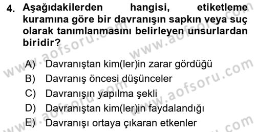 Suç Sosyolojisi Dersi 2023 - 2024 Yılı (Vize) Ara Sınav Soruları 4. Soru