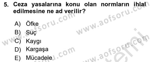 Suç Sosyolojisi Dersi 2023 - 2024 Yılı (Vize) Ara Sınav Soruları 5. Soru
