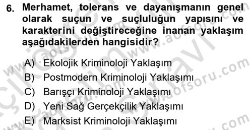 Suç Sosyolojisi Dersi 2023 - 2024 Yılı (Vize) Ara Sınav Soruları 6. Soru