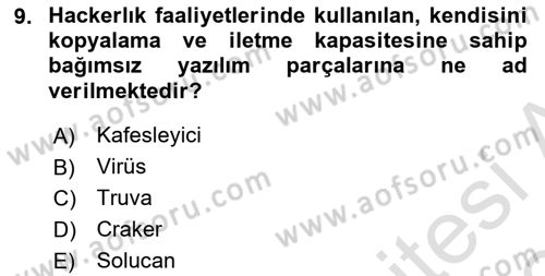 Suç Sosyolojisi Dersi 2023 - 2024 Yılı (Final) Dönem Sonu Sınav Soruları 9. Soru