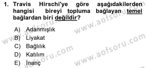 Suç Sosyolojisi Dersi 2023 - 2024 Yılı Yaz Okulu Sınav Soruları 1. Soru