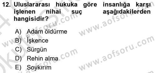 Suç Sosyolojisi Dersi 2023 - 2024 Yılı Yaz Okulu Sınav Soruları 12. Soru