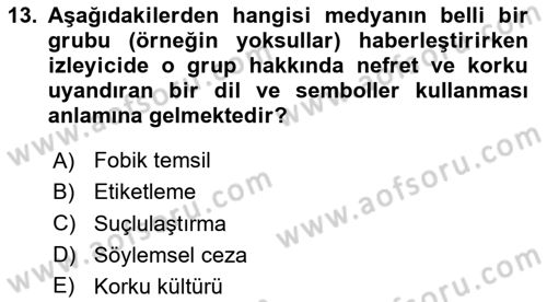 Suç Sosyolojisi Dersi 2023 - 2024 Yılı Yaz Okulu Sınav Soruları 13. Soru