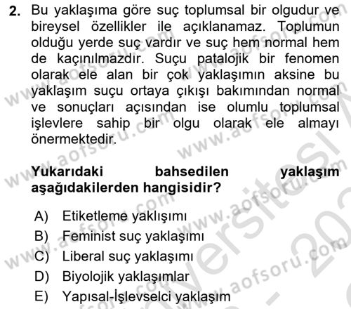 Suç Sosyolojisi Dersi 2023 - 2024 Yılı Yaz Okulu Sınav Soruları 2. Soru
