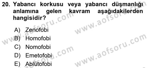 Suç Sosyolojisi Dersi 2023 - 2024 Yılı Yaz Okulu Sınav Soruları 20. Soru