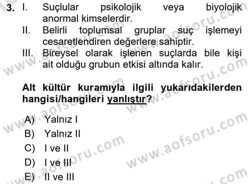 Suç Sosyolojisi Dersi 2023 - 2024 Yılı Yaz Okulu Sınav Soruları 3. Soru
