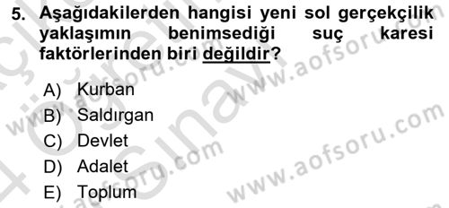 Suç Sosyolojisi Dersi 2023 - 2024 Yılı Yaz Okulu Sınav Soruları 5. Soru