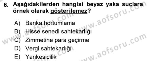 Suç Sosyolojisi Dersi 2023 - 2024 Yılı Yaz Okulu Sınav Soruları 6. Soru