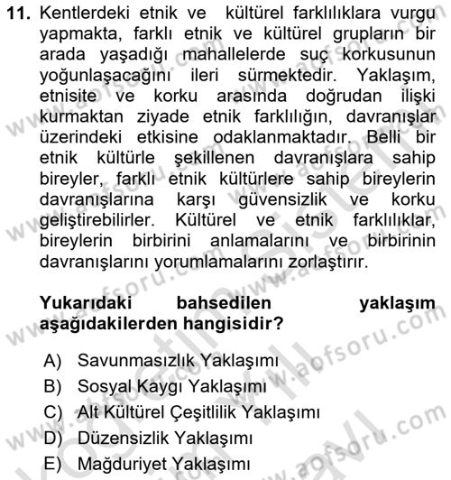 Suç Sosyolojisi Dersi 2024 - 2025 Yılı (Vize) Ara Sınav Soruları 11. Soru