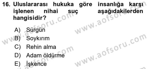 Suç Sosyolojisi Dersi 2024 - 2025 Yılı (Vize) Ara Sınav Soruları 16. Soru
