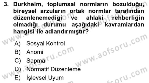 Suç Sosyolojisi Dersi 2024 - 2025 Yılı (Vize) Ara Sınav Soruları 3. Soru