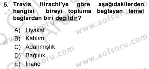 Suç Sosyolojisi Dersi 2024 - 2025 Yılı (Vize) Ara Sınav Soruları 5. Soru