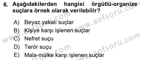 Suç Sosyolojisi Dersi 2024 - 2025 Yılı (Vize) Ara Sınav Soruları 6. Soru