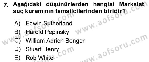 Suç Sosyolojisi Dersi 2024 - 2025 Yılı (Vize) Ara Sınav Soruları 7. Soru