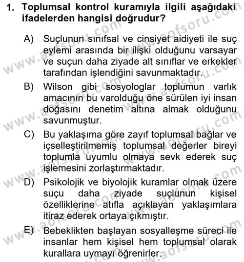 Suç Sosyolojisi Dersi 2024 - 2025 Yılı (Final) Dönem Sonu Sınav Soruları 1. Soru